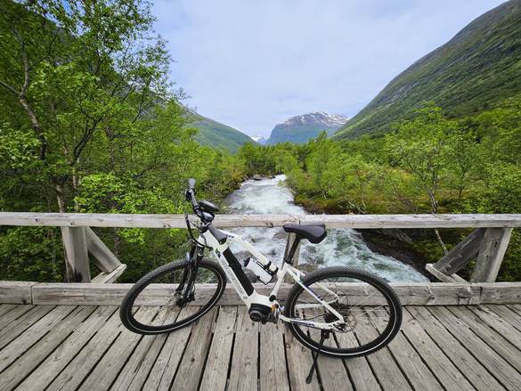 MSC Cruises Bike Adventours Norway, from Hellesylt CSOR ©MSC Rights 2.jpg